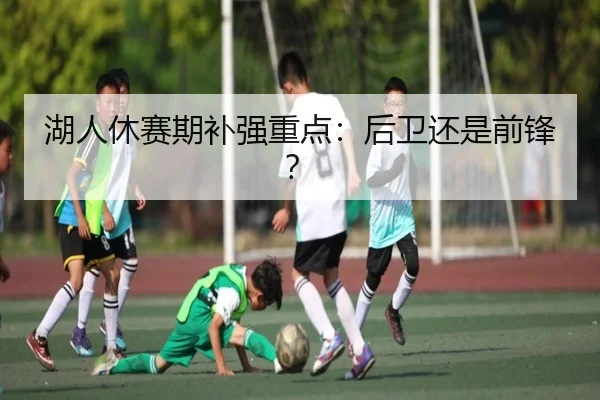 湖人休赛期补强重点：后卫还是前锋？